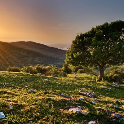 1920 x 1080 HD Wallpapers 3310